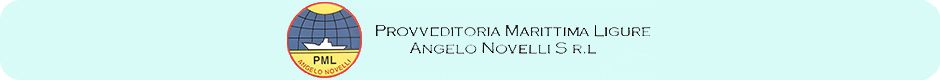 pmlangelonovelli